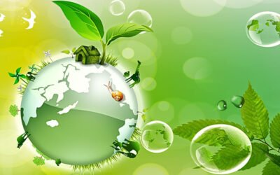 Jornada Mundial de Oración por el Cuidado de la Creación