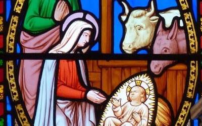 Por una Navidad solidaria