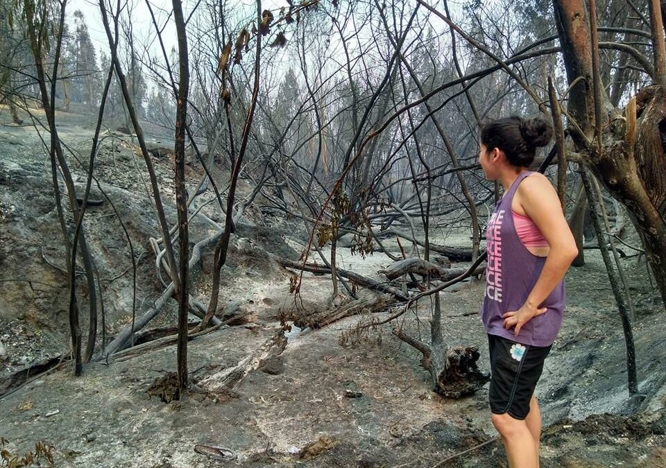 Relatos entre el blanco y negro desde Chile color fuego