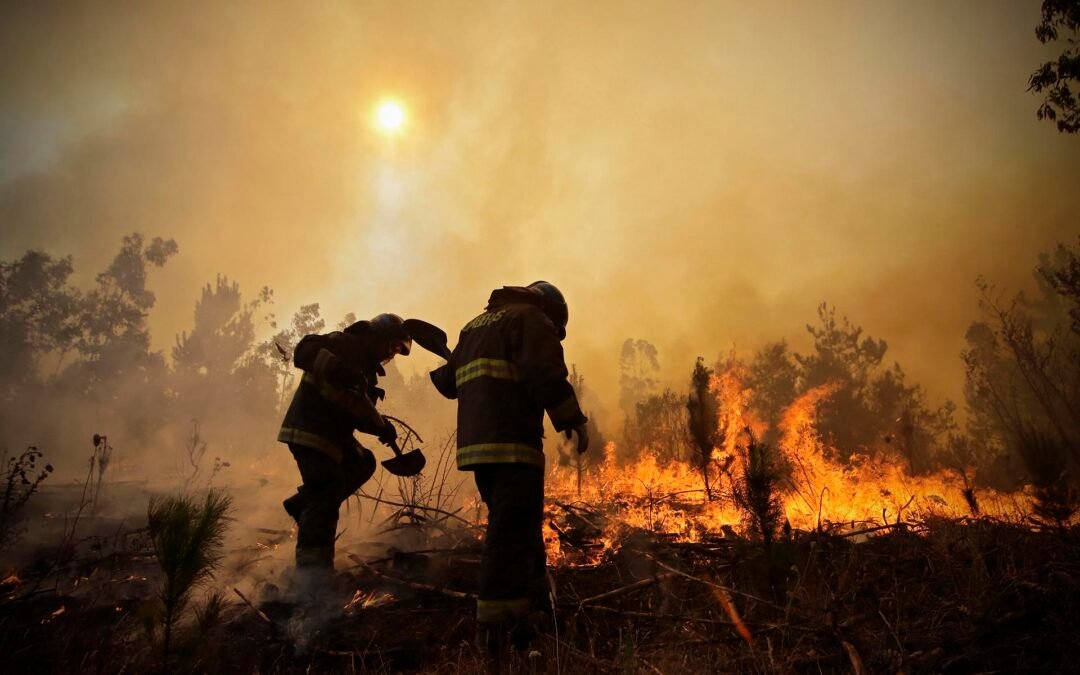 Chile: en medio de los incendios, la solidaridad