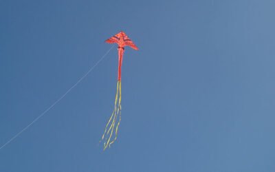 Volar bien alto
