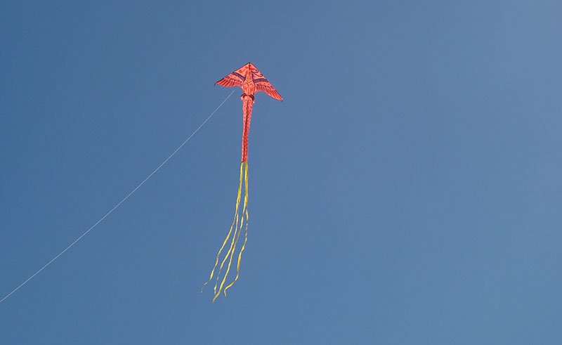Volar bien alto