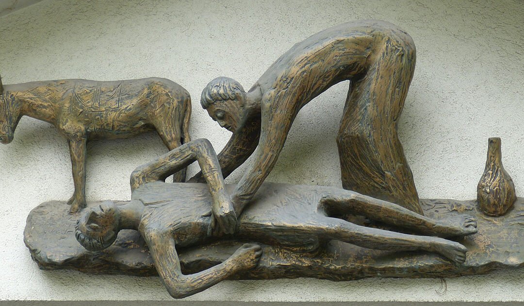 Evangelio vivido: los frutos llegan.