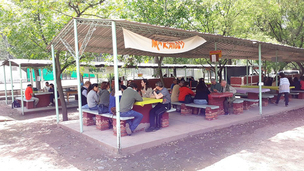En Mendoza una «Mariápolis urbana»
