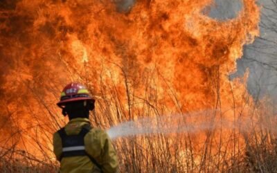 Donde hubo fuego… crece la fraternidad