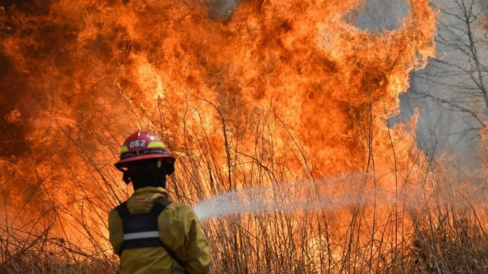 Donde hubo fuego… crece la fraternidad